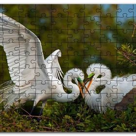 Cakapuzzle Birbirine Kur Yapan Ak Balıkçıl Kuşları Mdf 1000 Parça Puzzle