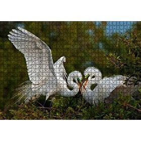 Cakapuzzle Birbirine Kur Yapan Ak Balıkçıl Kuşları Mdf 1000 Parça Puzzle