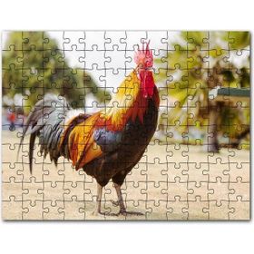 Cakapuzzle Birbirine Kur Yapan Ak Balıkçıl Kuşları Mdf 500 Parça Puzzle