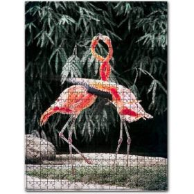 Cakapuzzle Birbirine Sarılan Pembe Flamingo Kuşu Görseli 255 Parça Puzzle