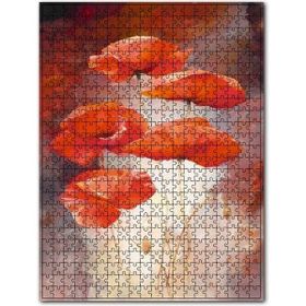 Cakapuzzle Birbirine Yaslanan Beş Gelincik Ahşap 255 Parça Puzzle