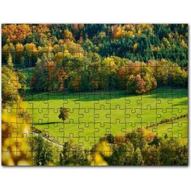 Cakapuzzle Boku No Hero Academia Todoroki Shōto Görseli 255 Parça Puzzle
