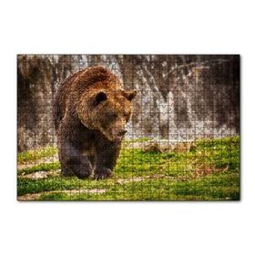 Cakapuzzle Boz Ayı Ormanda 120 Parça Ahşap Puzzle