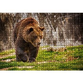Cakapuzzle Boz Ayı Ormanda 120 Parça Ahşap Puzzle