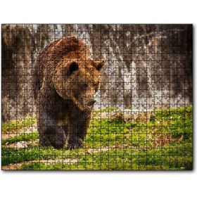Cakapuzzle Boz Ayı Ormanda Ahşap 500 Parça Puzzle