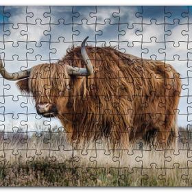 Cakapuzzle Bozkırda Kahverengi Yak Öküzü ve Bulutlar Mdf 255 Parça Puzzle