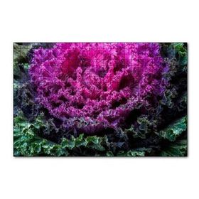 Cakapuzzle Brassica Oleracea Yaprakları 120 Parça Ahşap Puzzle