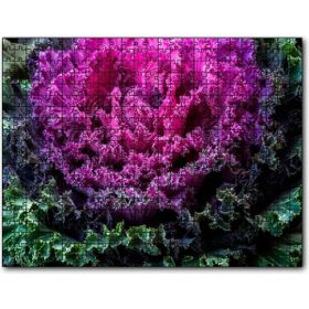Cakapuzzle Brassica Oleracea Yaprakları Ahşap 500 Parça Puzzle