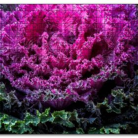 Cakapuzzle Brassica Oleracea Yaprakları Mdf 120 Parça Puzzle