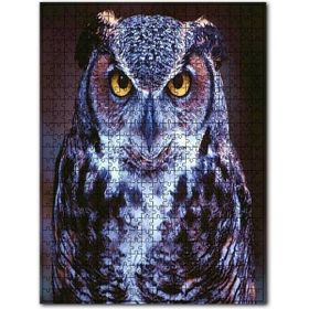 Cakapuzzle Bubo Baykuşu Ahşap 500 Parça Puzzle