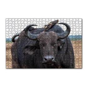 Cakapuzzle Buffalo ve Sırtındaki Kuş Arkadaşları 120 Parça Ahşap Puzzle