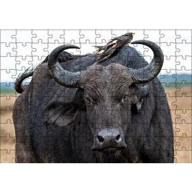 Cakapuzzle Buffalo ve Sırtındaki Kuş Arkadaşları 120 Parça Ahşap Puzzle