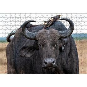 Cakapuzzle Buffalo ve Sırtındaki Kuş Arkadaşları 120 Parça Ahşap Puzzle