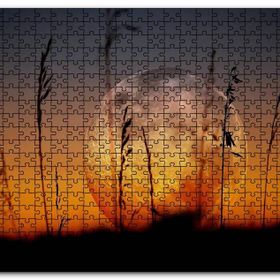 Cakapuzzle Buğday Başaklarının Ardında Muhteşem Dolunay Mdf 120 Parça Puzzle