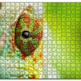 Cakapuzzle Bukalemun Gözü Yakın Çekim Flu Arkaplan Mdf 255 Parça Puzzle
