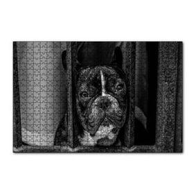 Cakapuzzle Buldog Köpek Irkı Parmaklıklar Ardında Görseli Mdf 120 Parça Puzzle