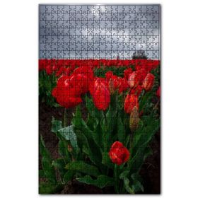 Cakapuzzle Bulutlu Lale Tarlası ve Uzakta Yeldeğirmeni Ahşap 500 Parça Puzzle