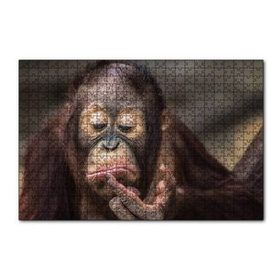 Cakapuzzle Burnuna Bakan Sevimli Şempanze 120 Parça Ahşap Puzzle