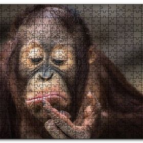 Cakapuzzle Burnuna Bakan Sevimli Şempanze Mdf 1000 Parça Puzzle