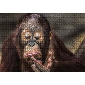 Cakapuzzle Burnuna Bakan Sevimli Şempanze Mdf 1000 Parça Puzzle