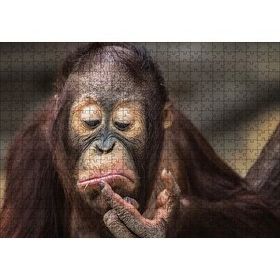 Cakapuzzle Burnuna Bakan Sevimli Şempanze Mdf 500 Parça Puzzle