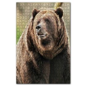 Cakapuzzle Büyük Boz Ayı Yakın Çekim Ahşap 255 Parça Puzzle