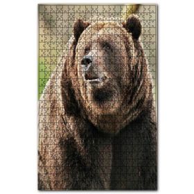 Cakapuzzle Büyük Boz Ayı Yakın Çekim Ahşap 500 Parça Puzzle