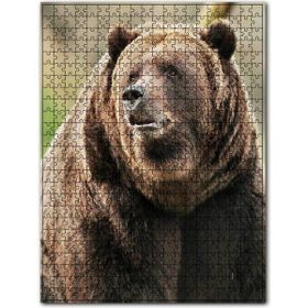 Cakapuzzle Büyük Boz Ayı Yakın Çekim Ahşap 500 Parça Puzzle