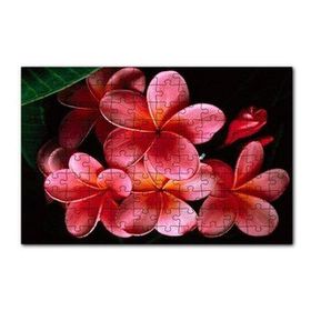 Cakapuzzle Büyük Kırmızı Yapraklı Plumeria Çiçeği 120 Parça Ahşap Puzzle