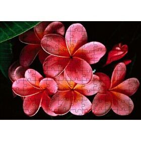 Cakapuzzle Büyük Kırmızı Yapraklı Plumeria Çiçeği 120 Parça Ahşap Puzzle