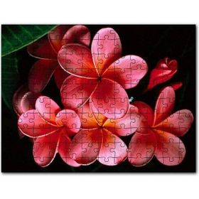 Cakapuzzle Büyük Kırmızı Yapraklı Plumeria Çiçeği Mdf 500 Parça Puzzle