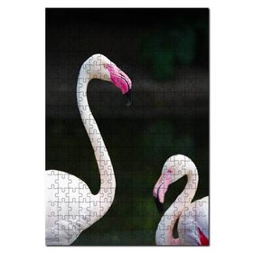 Cakapuzzle Büyük Küçük Filamingolar Görseli Mdf 1000 Parça Puzzle