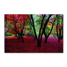 Cakapuzzle Büyülü Sonbahar Ormanı 120 Parça Ahşap Puzzle
