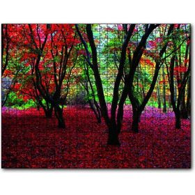 Cakapuzzle Büyülü Sonbahar Ormanı Ahşap 255 Parça Puzzle