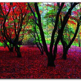 Cakapuzzle Büyülü Sonbahar Ormanı Ahşap 500 Parça Puzzle