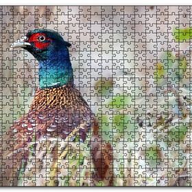 Cakapuzzle Çalılıklar Arasındaki Sülün Mdf 1000 Parça Puzzle