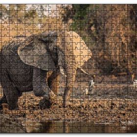 Cakapuzzle Çamur Banyosu Yapan Fil ve Arkada Leylekler Mdf 1000 Parça Puzzle