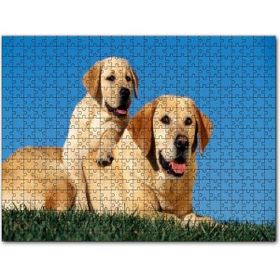 Cakapuzzle Çayırda Anne Labrador ve Yavrusu Mdf 255 Parça Puzzle