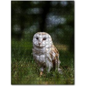Cakapuzzle Çayırda Beyaz Baykuş 120 Parça Puzzle