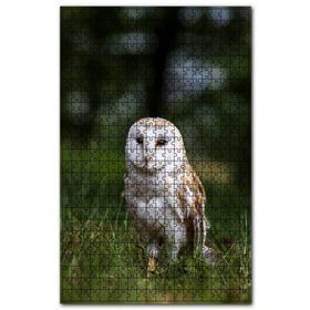 Cakapuzzle Çayırda Beyaz Baykuş Ahşap 500 Parça Puzzle