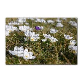 Cakapuzzle Çayırda Beyaz Çiğdem Çiçekleri 120 Parça Ahşap Puzzle