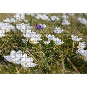 Cakapuzzle Çayırda Beyaz Çiğdem Çiçekleri 120 Parça Ahşap Puzzle