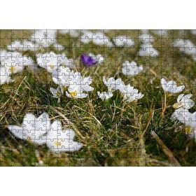 Cakapuzzle Çayırda Beyaz Çiğdem Çiçekleri 120 Parça Ahşap Puzzle