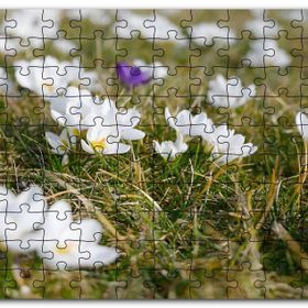Cakapuzzle Çayırda Beyaz Çiğdem Çiçekleri Mdf 120 Parça Puzzle