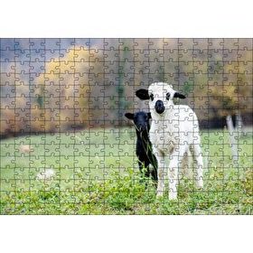 Cakapuzzle Çayırda Beyaz ve Siyah Kuzular Flu Arkaplan Mdf 255 Parça Puzzle