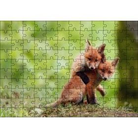 Cakapuzzle Çayırda Birbiriyle Oynayan Yavru Tilkiler 120 Parça Ahşap Puzzle