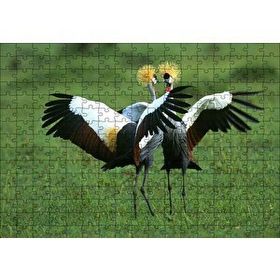 Cakapuzzle Çayırda Dans Eden Turnalar 255 Parça Puzzle