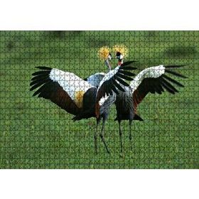 Cakapuzzle Çayırda Dans Eden Turnalar Mdf 1000 Parça Puzzle