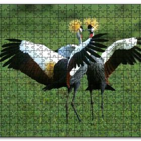 Cakapuzzle Çayırda Dans Eden Turnalar Mdf 500 Parça Puzzle