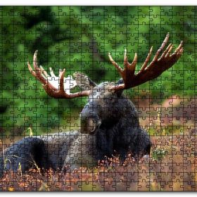 Cakapuzzle Çayırda Dinlenen Sığın mus Mdf 120 Parça Puzzle